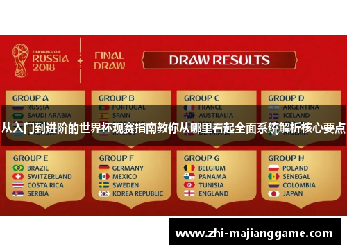 从入门到进阶的世界杯观赛指南教你从哪里看起全面系统解析核心要点